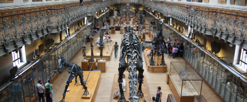 Darwin et les systèmes d’information : s’adapter au Cloud ou finir dans un musée