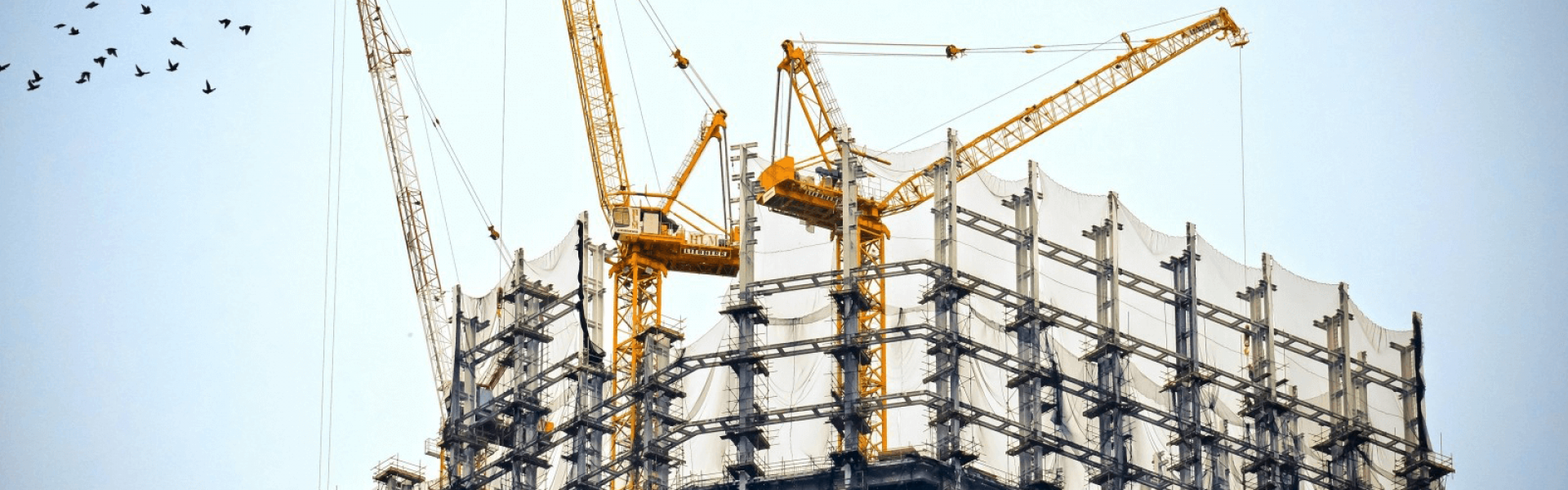chantier en construction avec des grues